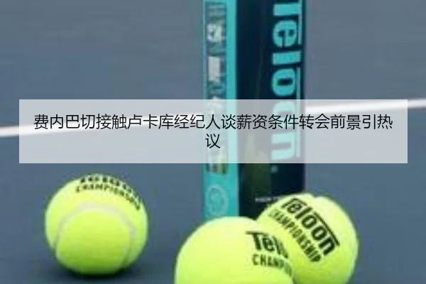 费内巴切接触卢卡库经纪人谈薪资条件转会前景引热议